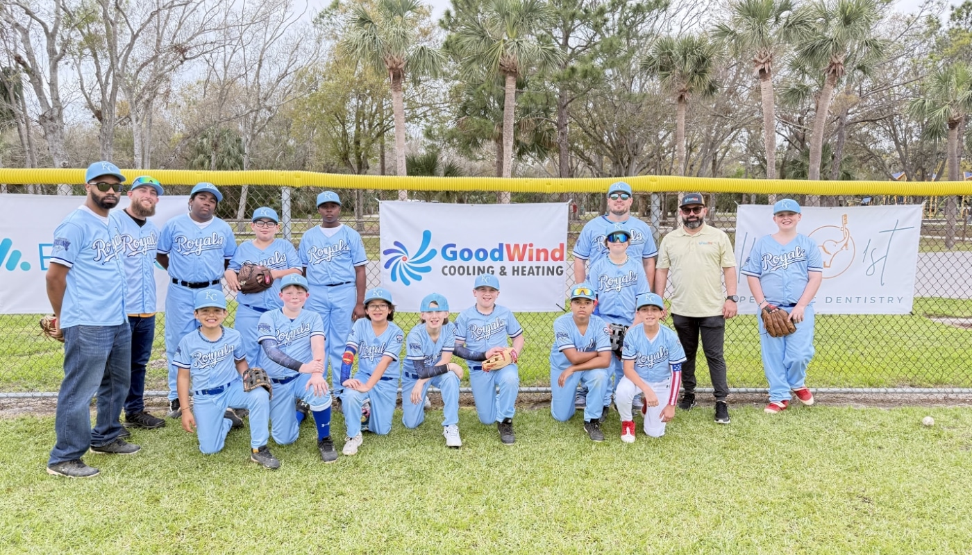 Goodwind Heating And Cooling Baseball Sponsor@2x